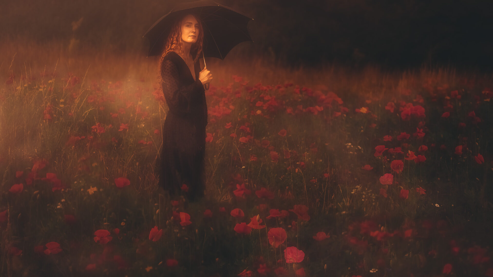 A woman in black with an umbrella in a field of poppies. The image looks impressionistic