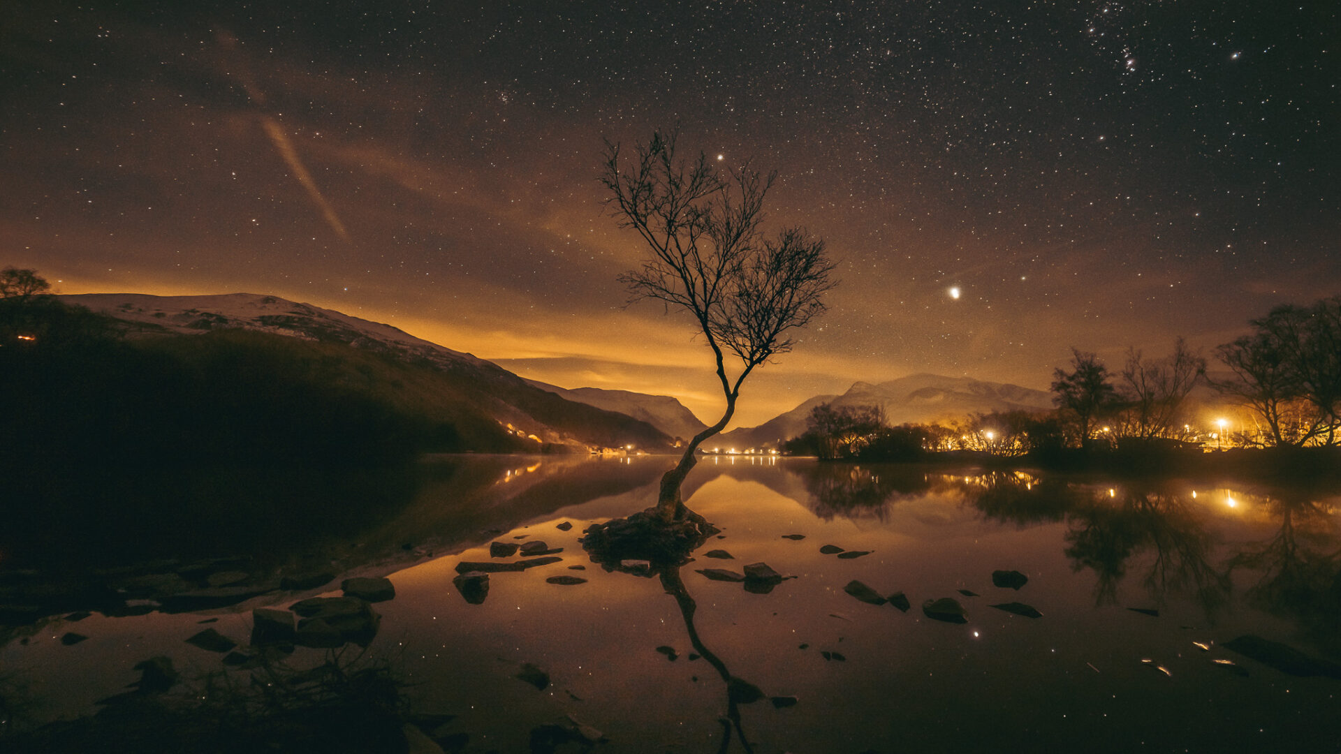 a tree in a lake at night surrounded by stars