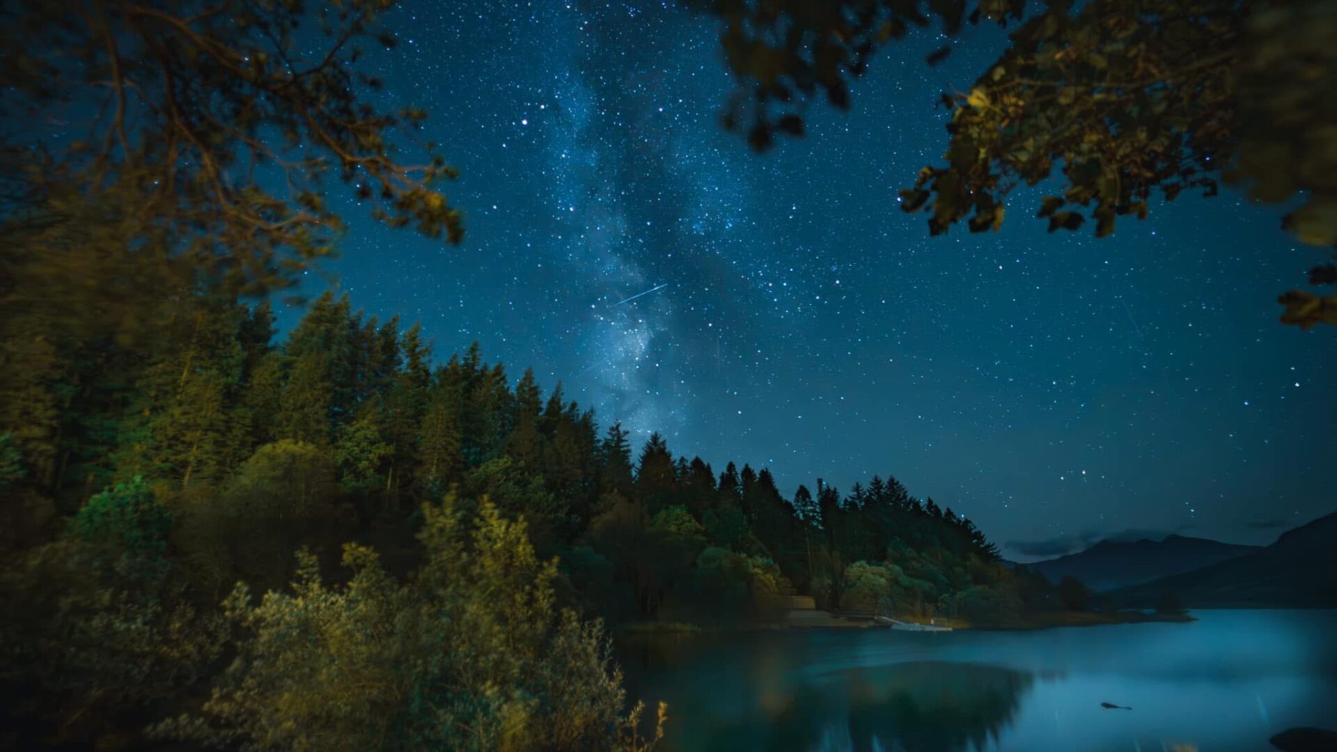 The milky way through trees besides Llynnau Mymbyr lake. Tall pine trees surround the lake.