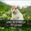 George the Ultimate Cat Calendar 2025 - Image 2