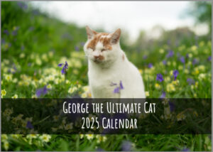 George the Ultimate Cat Calendar 2025