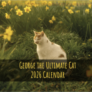 George the Ultimate Cat Calendar 2026