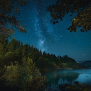 Long-exposure photograph of the Milky Way over a forested lake in Snowdonia, with stars reflected in the still water and trees silhouetted under a clear night sky.